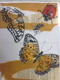 The     best Sketches of nature ideas on Pinterest   Drawings of     Pinterest Gcse art