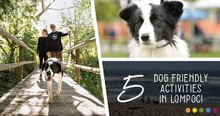 5 dog friendly activities in lompoc