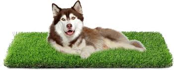 Dog Grass Mat