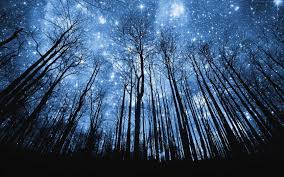beautiful wallpaper hd night sky stars