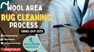 wool area rug cleaning process