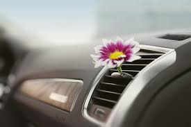 car odour removal how to get rid of