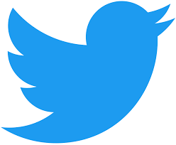 Файл:Logo of Twitter.svg — Википедия