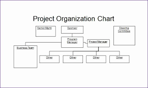 Project Organization Chart Template Elegant Project Team