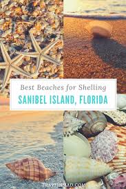 Shelling on sanibel island 2020 Sanibel Island Shelling A Local S Guide To Finding The Best Shells Travlinmad Slow Travel Blog