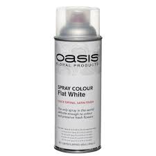 Flat White Oasis Florist Spray Paint 400ml Www