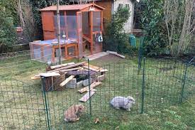 Gegen kaninchen im garten vorgehen. Kaninchen Im Garten Halten 10 Tipps
