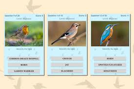 British Birds Id Quiz App By Active Wild Free Download From