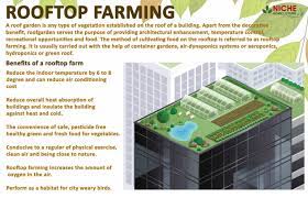 Rooftop Farming Viable Measure In The