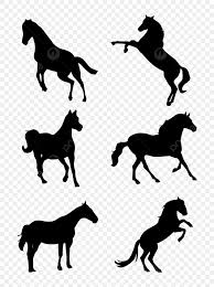 horses silhouette vector png horse