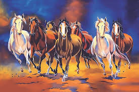 7 horses hd wallpaper