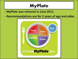 49,000+ vectors, stock photos & psd files. Ppt Myplate Powerpoint Presentation Free Download Id 4753389