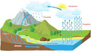 Panas (energi) adalah faktor yang diperlukan untuk evaporasi terjadi. Siklus Air Evaporasi Transpirasi Kondensasi Presipitasi Soalku Net