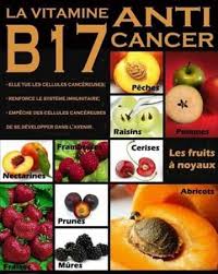 Whether you take supplements or not, the vitamin b17 you consume in the foods you eat will continue to get rid of the cancerous cells in your body. Origine Et Histoire De La Vitamine B17 Un Remede Efficace Contre Le Cancer Afrikhepri Fondation