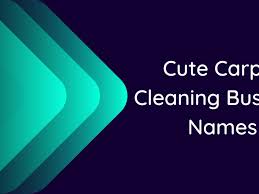 700 cute carpet cleaning business names