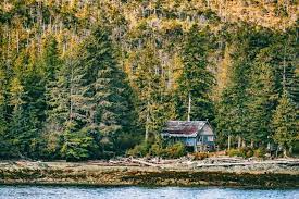 Check spelling or type a new query. How Much Does A Remote Off Grid Cabin In Alaska Cost Outdoor Troop