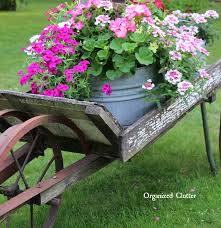 Rustic Garden Wheelbarrow 2016