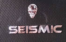 review seismic audio luke 2x12 cabinet
