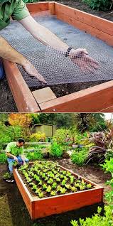 Raised Vegetable Gardens Garden Beds