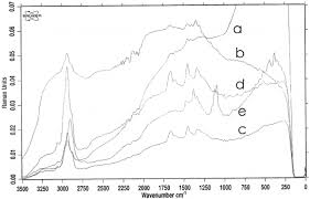 raman spectra of the patterns of a