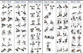 Gym Workout Schedule For Men Pdf Gym