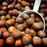 CAN expired hazelnuts make you sick?