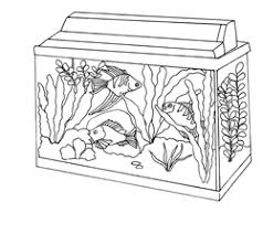 Aquarium coloring pages to download and print template. Coloring Pages Aquarium Tropical Fish