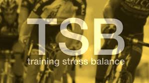 Applying The Numbers Part 3 Training Stress Balance