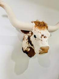 Spotted Texas Longhorn Cow Wall Mount