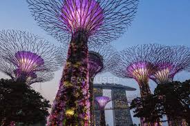 gardens by the bay at night singapore