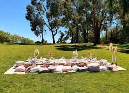 luxe picnic hire party hire gumtree