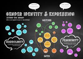 Infographic: Gender Identity and Expression - YES! Magazine