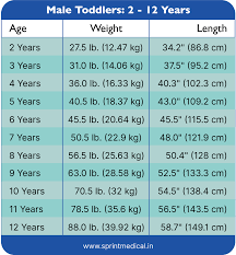 weight chart for kids understanding