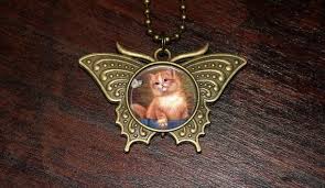 I just got done watching goblin slayer. Image Shared By The Goblin Cave Find Images And Videos About Cat Animal And Autumn On We Heart It The App T Bronze Butterfly Cat Necklace Butterfly Pendant