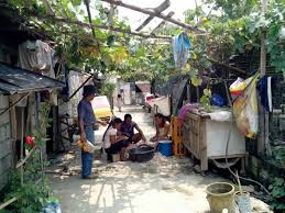 Nest Egg Through Urban Gardening