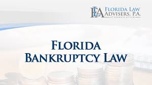 Prepare a chapter 7 bankruptcy petition in the state of florida. Bankruptcy In Florida 2021 The Comprehensive Guide