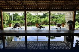 the 7 best yoga retreats in thailand