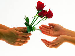 Image result for valentine's rose