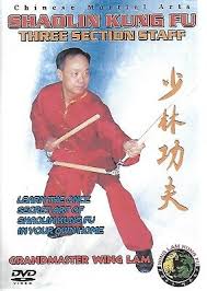 wing lam kung fu shaolin instructional