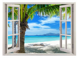 Palm Tree White Sand Scenery Hd Window