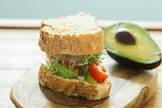 avocado  cream cheese  and alfalfa sprout sandwich