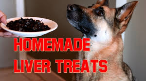 liver treats for your dog
