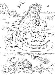 Later you can print it and color it as you like. Sea Iguana Coloring Page For Kids Download Print Online Coloring Pages For Free Color Nimbus