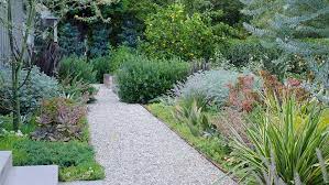 Plants For Garden Pathways