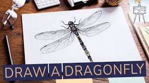 how to draw a dragonfly realistic