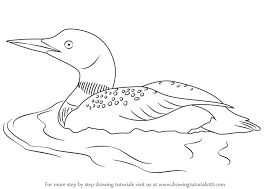 If all the values that get passed to the function are valid color names in tcl then those colors get returned hexencoded. Learn How To Draw A Common Loon Birds Step By Step Drawing Tutorials Bird Drawings Common Loon Drawings