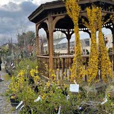 Nurseries Gardening In Frederick Md