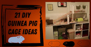 21 diy guinea pig cage ideas