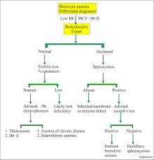 Anemia Types And Characteristic Finding Classification Of