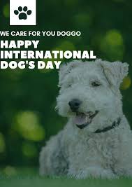 Welcome to happy international dog day 2021. 7c41qb9cnu36fm